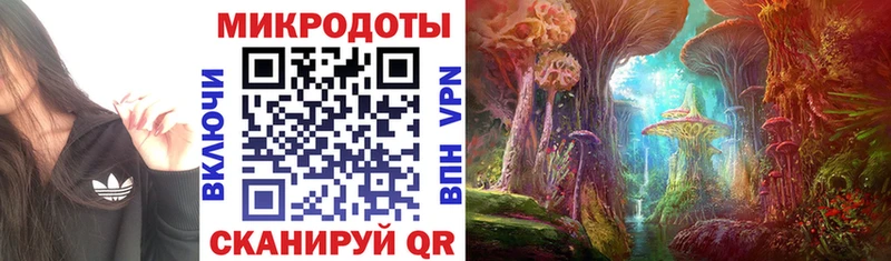 Галлюциногенные грибы ЛСД  Юрьев-Польский 