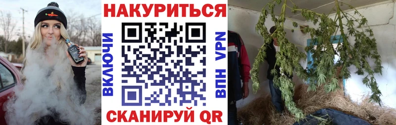 Каннабис Amnesia  Юрьев-Польский 